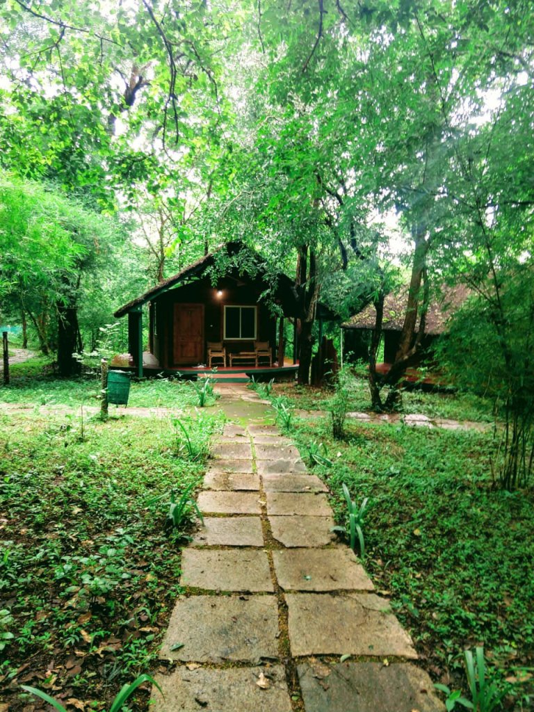 Cottage
