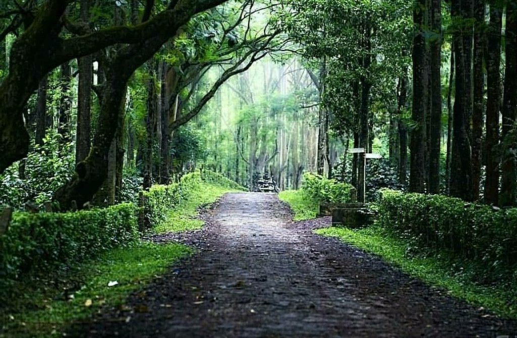 Chikmagulur