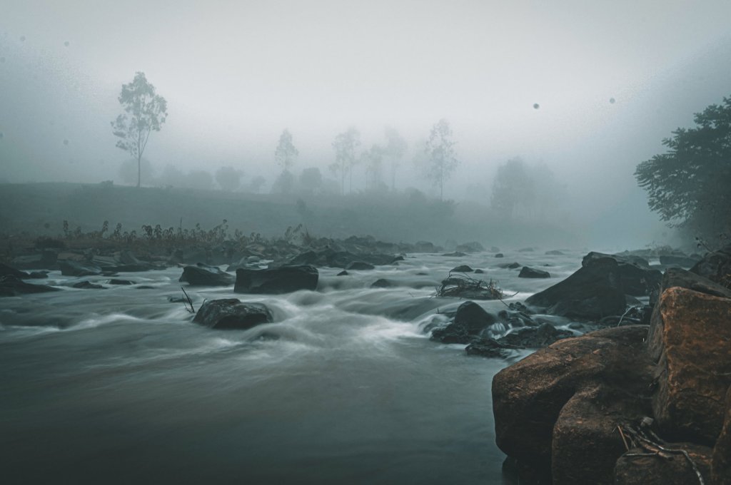 Araku